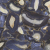 Anima Wonder Gems Anima Wonder Gems